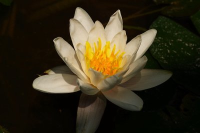 g3/89/716889/3/114577155.gdWIOH0q.jpg