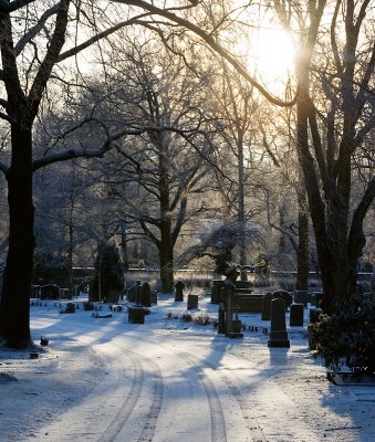 Norra kyrkogrden - Northern cemetery