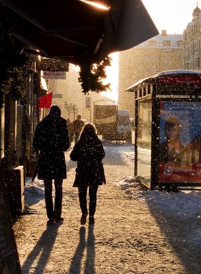 In the sunny snowfall