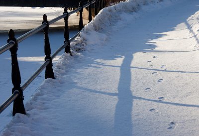 Following the mornings first tracks