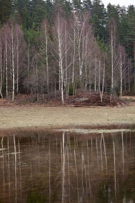 Water in the fields