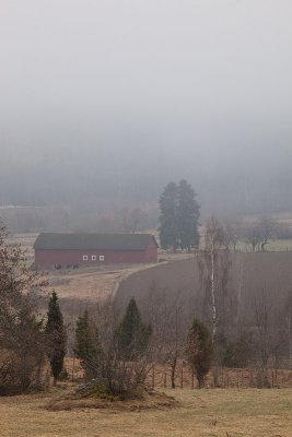 Barn in mist