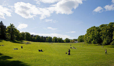 Stora pelousen - Hagaparken