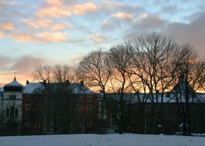 December 18: Sunset in the park