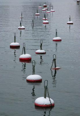 Buoys after snow