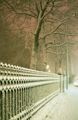 December 29: Heavy snowfall in the park