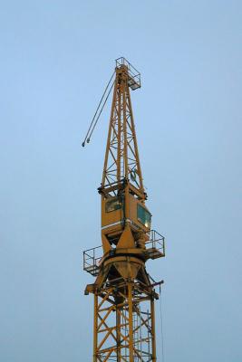 January 11: The unarmed crane