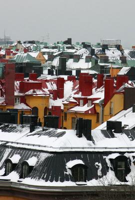 January 24: More snowy roof tops