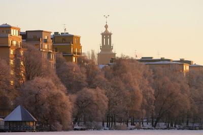 January 28: First sun on the frosty trees