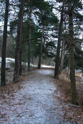 February 3: Morning on the frosty path