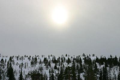 February 28: Winter sun