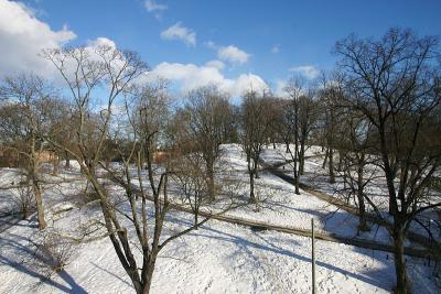 March 19: Receding snow cover