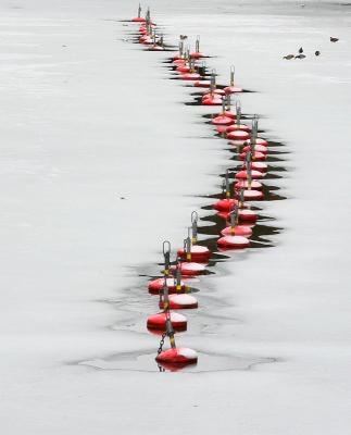March 31: Line of buoys