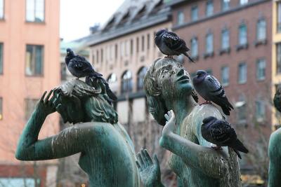 April 8: The girls and the pigeons
