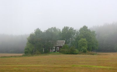 September 11: Cottage in morning fog