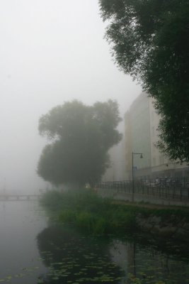 September 18: Foggy morning