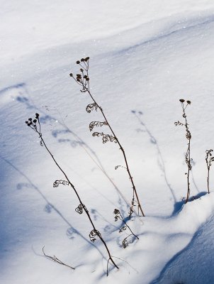 Winter in the Swedish Archipelago