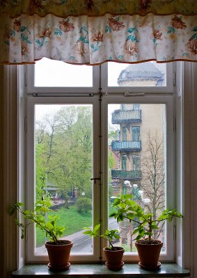 A view from a window