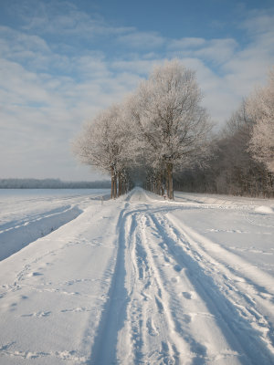 Sneeuwlandschap Drenthe