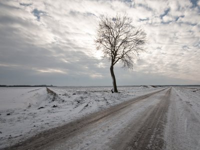Sneeuwlandschap Drenthe