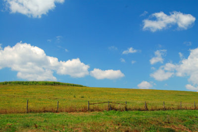 Virginia Countryside