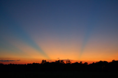 Crepuscular Rays at Sunset, Charlotte, NC