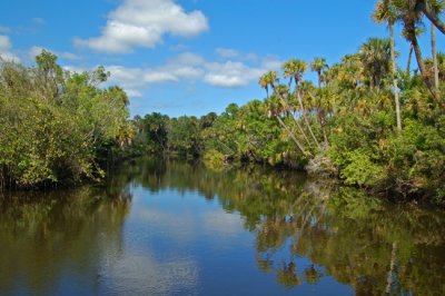 Near Port St Lucie, Florida