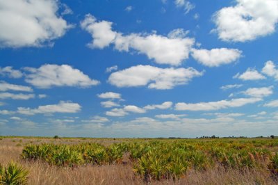 Kissimmee Prairie Preserve State Park, FL