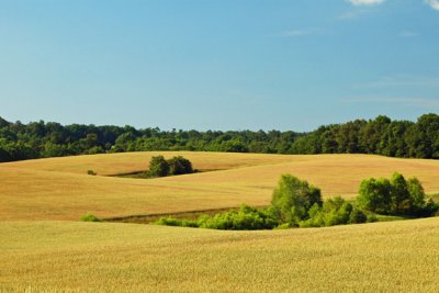 Near Oakboro, NC