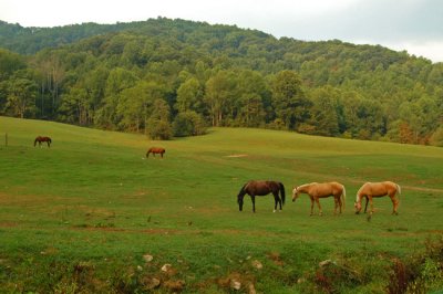 Windy Gap, NC