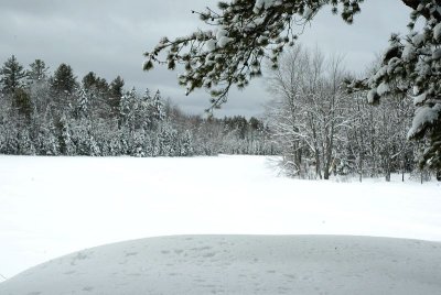 Runaround Pond