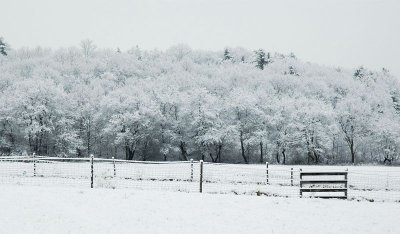Fence