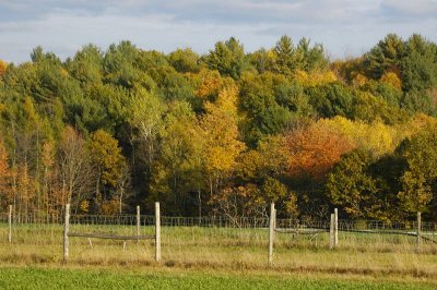 Fence