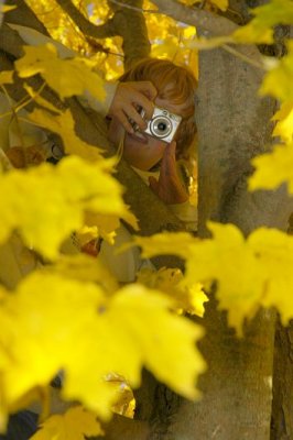 Peaking through the Leaves