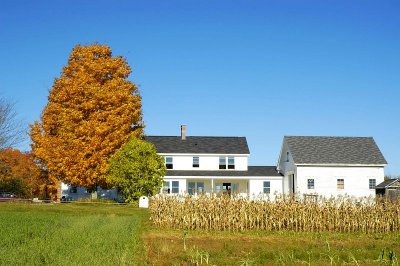 The Farm