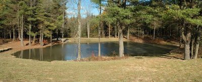 Irrigation Pond