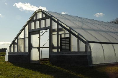 Greenhouse