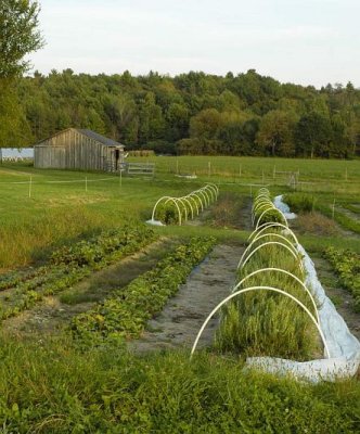 Growing Season