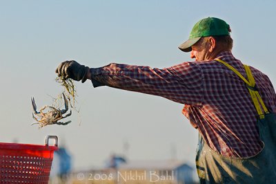 Crab Toss_NBP8998.jpg