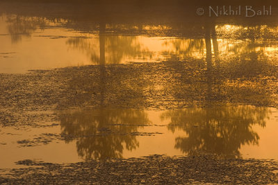 Sunrise Reflection_NIK9351.jpg