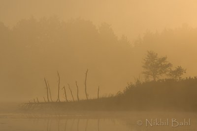 Foggy Sunrise3_NIK9372.jpg