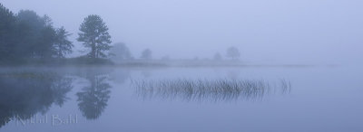 Foggy_Pano_NIK9794.jpg