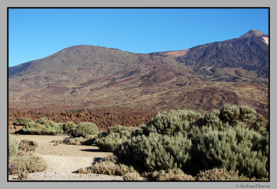 Teide 6