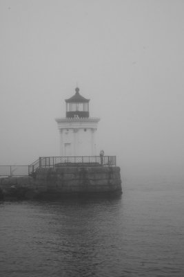 maine_light-2.jpg