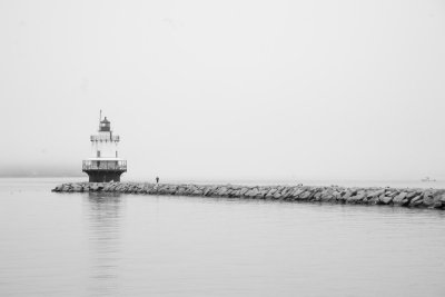 maine_light-4.jpg