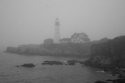 maine_light-8.jpg