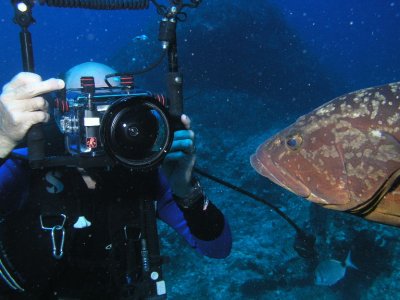 Grouper admiring himself in Bob's wide angle lens