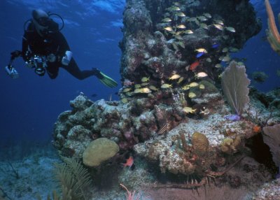 Bob at a coral pillar