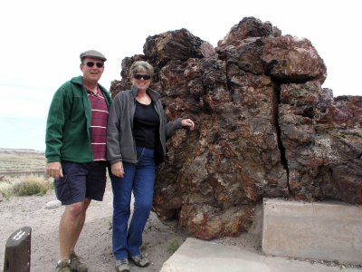 Large petrified log