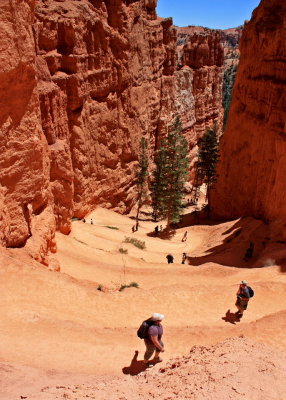 Navajo Trail switchback through Wall Street